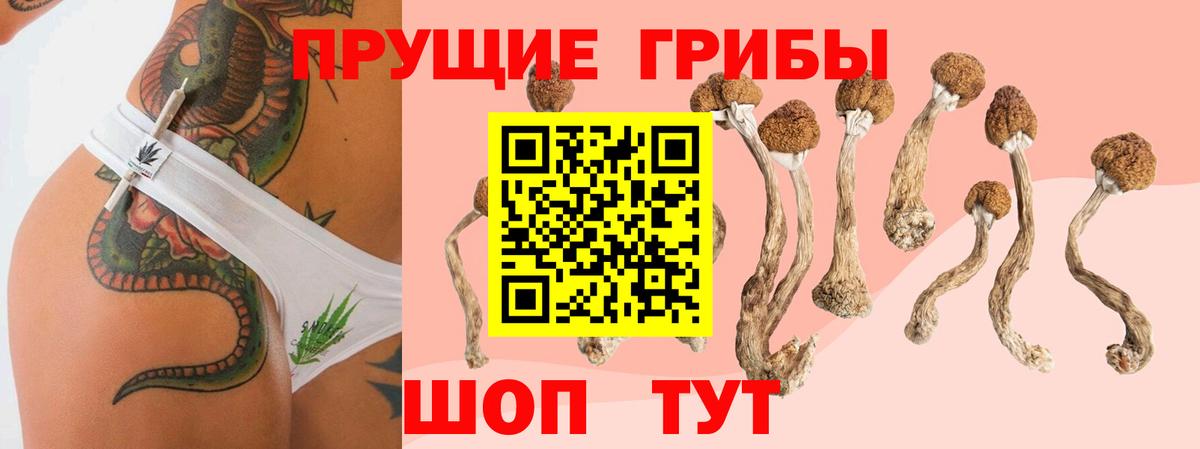 Псилоцибиновые грибы Psilocybine cubensis  Вход с VPN  Соликамск 